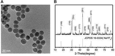 Near-Infrared Activation of Sensory Rhodopsin II Mediated by NIR-to-Blue Upconversion Nanoparticles